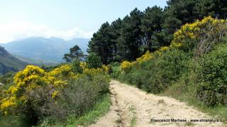 scate del Catafurco-17-06-2015 17-10-48